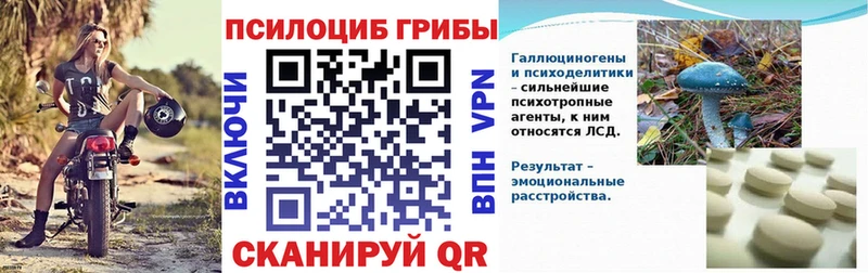 мега сайт как найти Сим Галлюциногенные грибы Cubensis